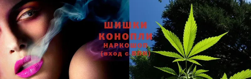 Канабис SATIVA & INDICA  Кизляр 